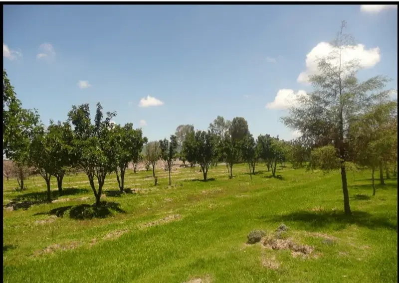 Lote en venta · La Cruz, San Juan del Río, Querétaro