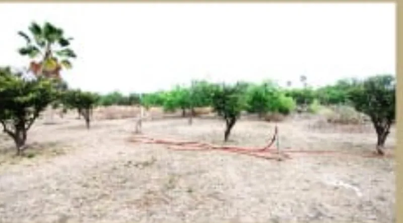 Lote en venta · Comunal Huertas de San Marino, Salinas Victoria, Nuevo León