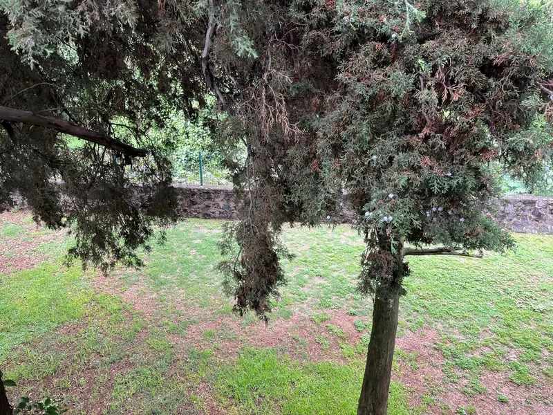 Foto 22