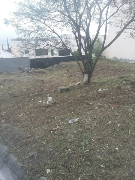 Foto 10