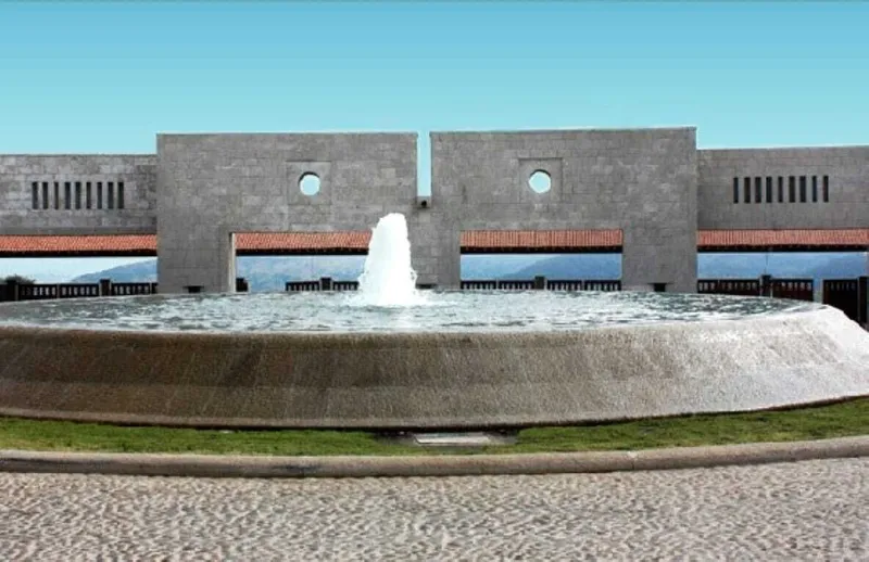 Foto 6