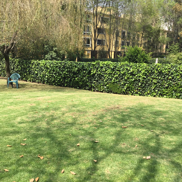 Foto 14