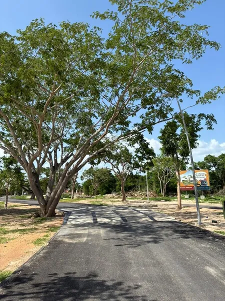 Foto 20