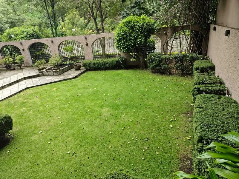 Foto 7