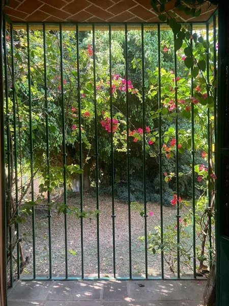 Foto 31