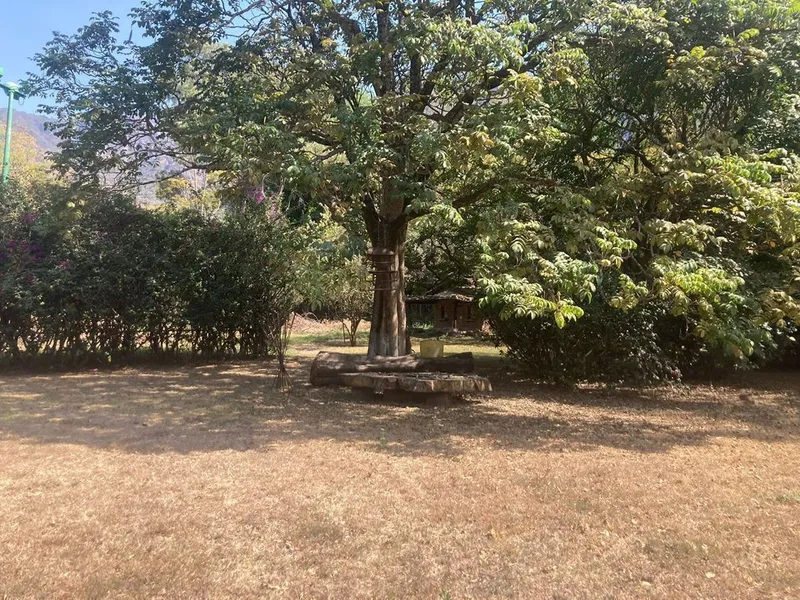 Foto 29