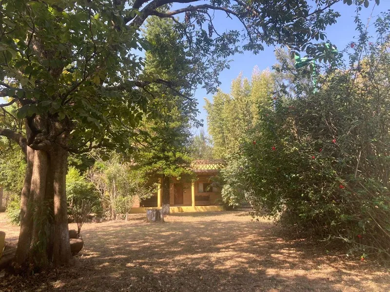 Foto 19