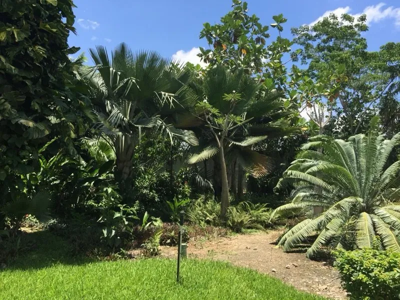 Foto 16