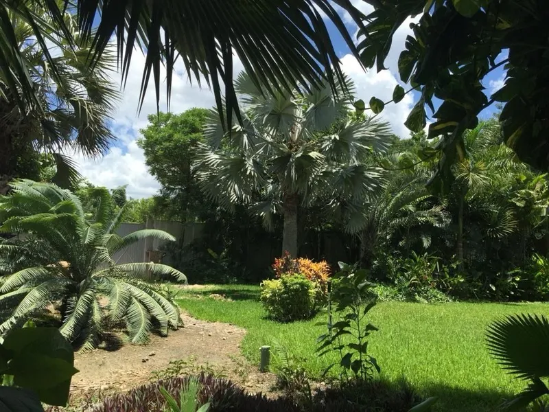 Foto 15