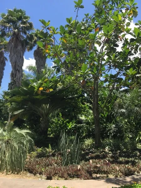 Foto 12