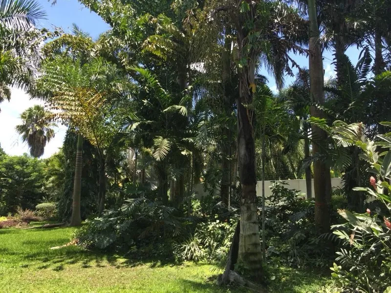 Foto 13
