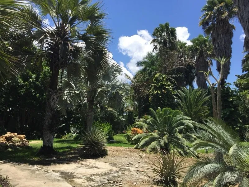 Foto 14