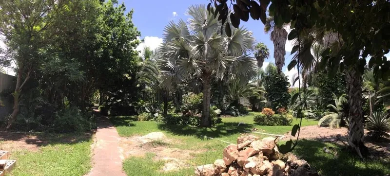 Foto 7