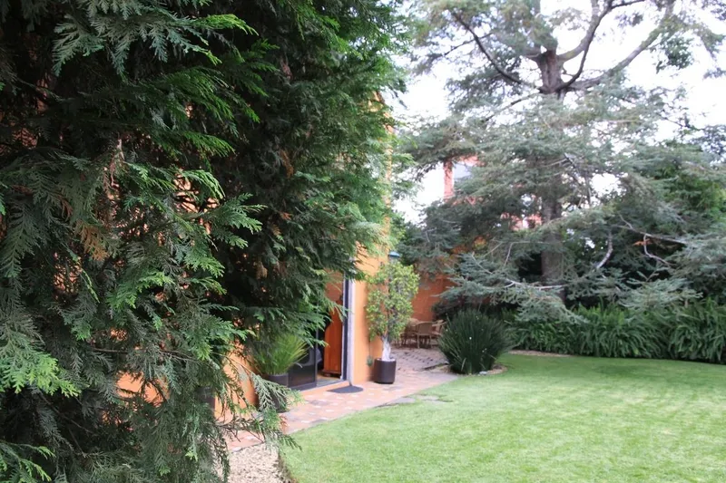 Foto 9