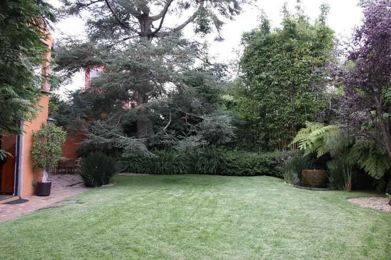 Foto 16