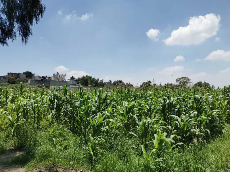 Lote en venta · Melchor Ocampo Centro, Melchor Ocampo, Estado de México