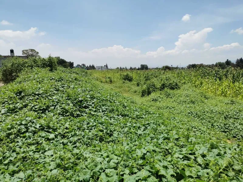 Lote en venta · Melchor Ocampo Centro, Melchor Ocampo, Estado de México