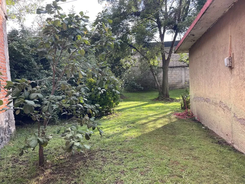 Foto 7
