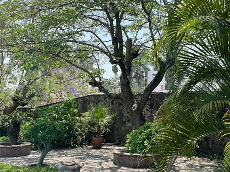 Foto 14