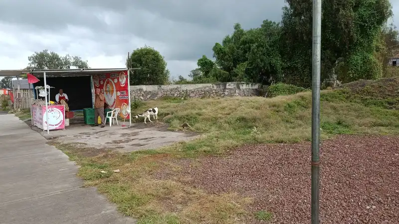 Foto 4
