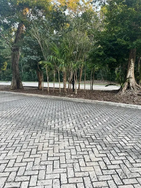 Foto 43