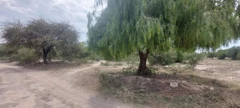 Foto 11