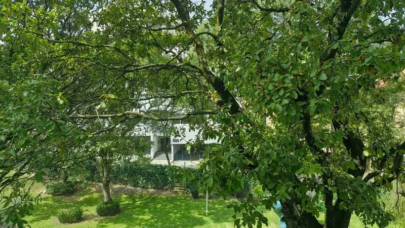 Foto 38