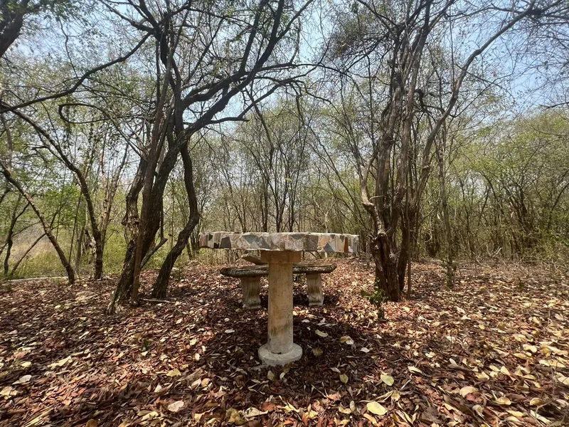 Foto 25