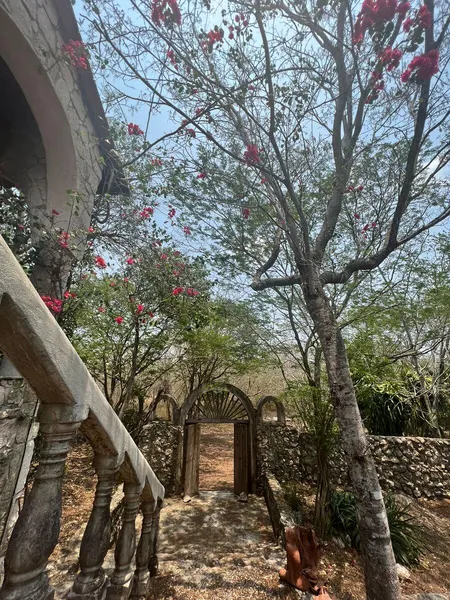 Foto 16