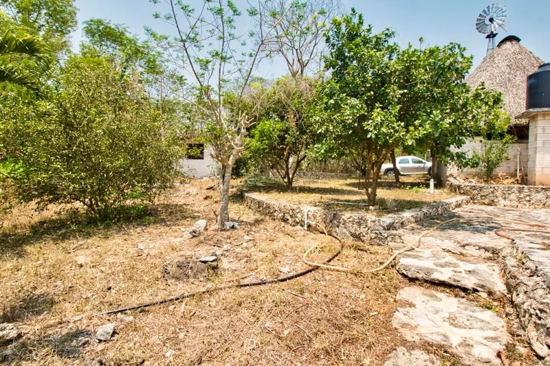Foto 12