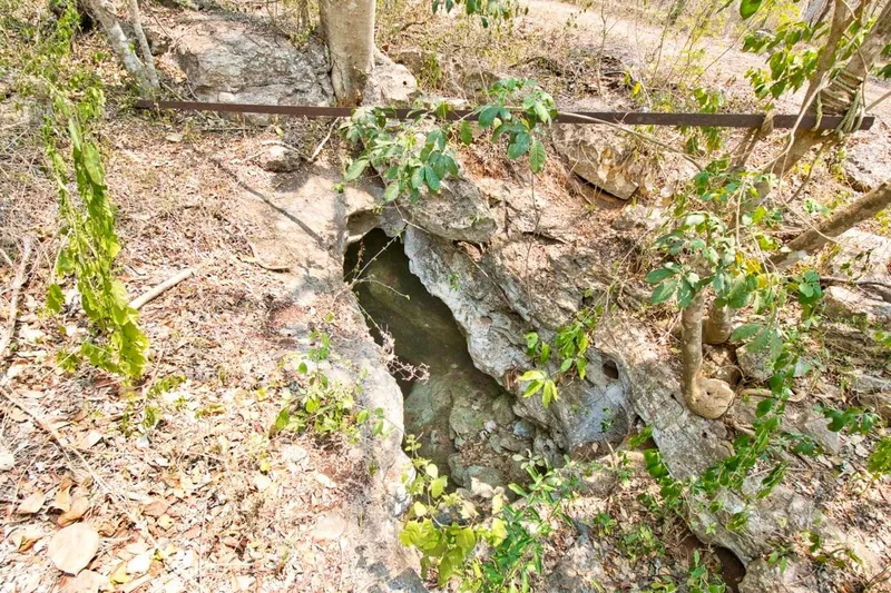Foto 5