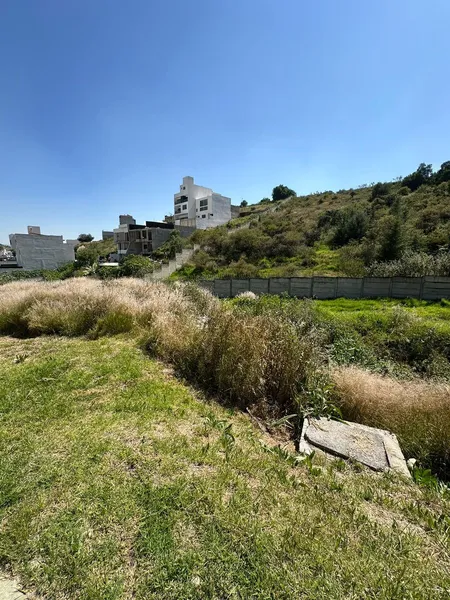 Foto 9