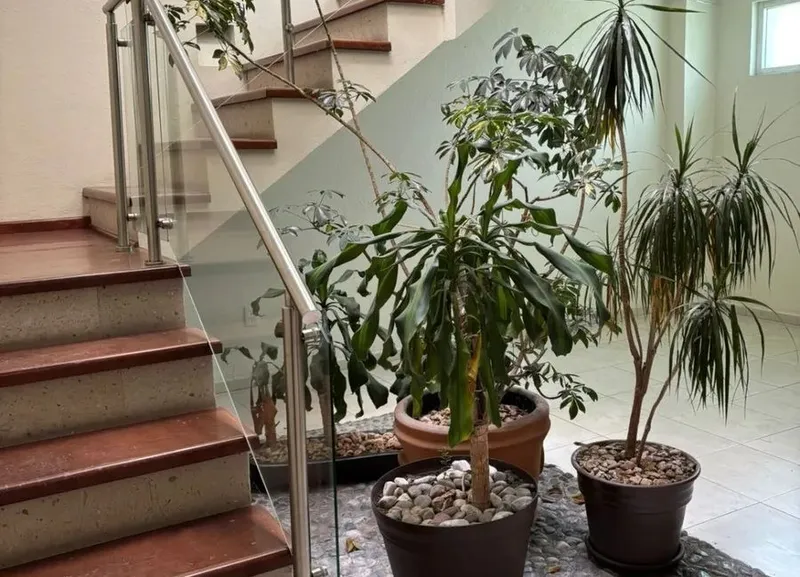 Foto 44