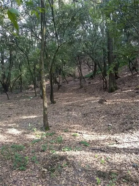 Foto 19