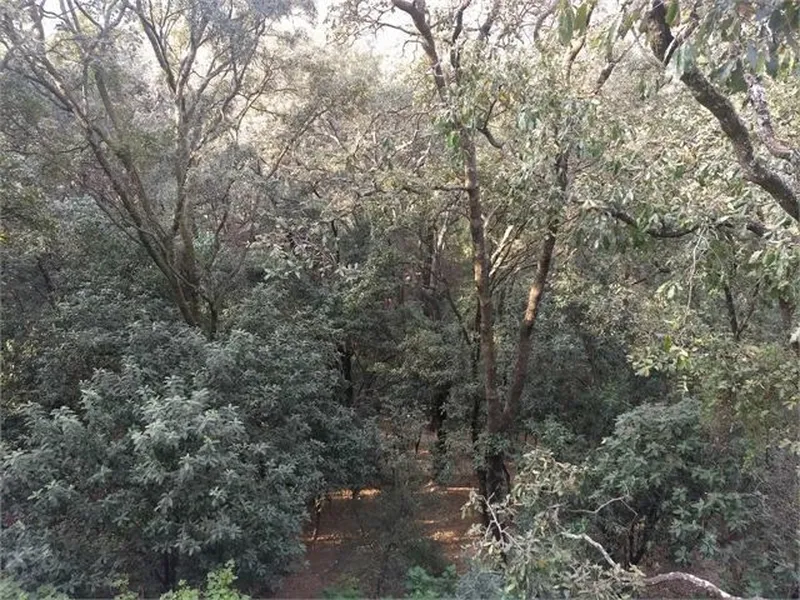 Foto 17