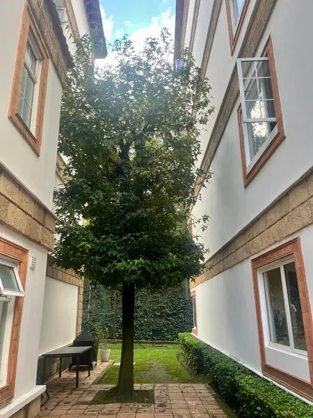 Foto 34