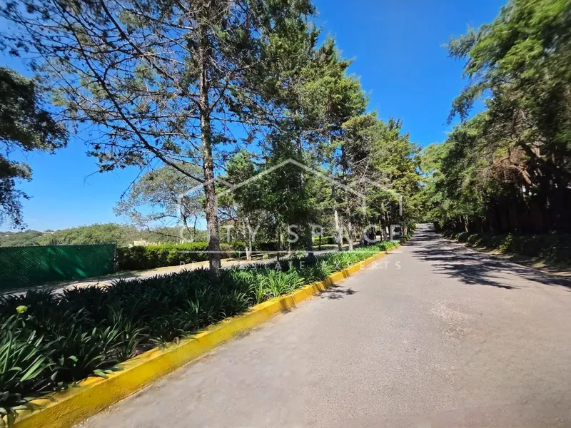 Foto 19