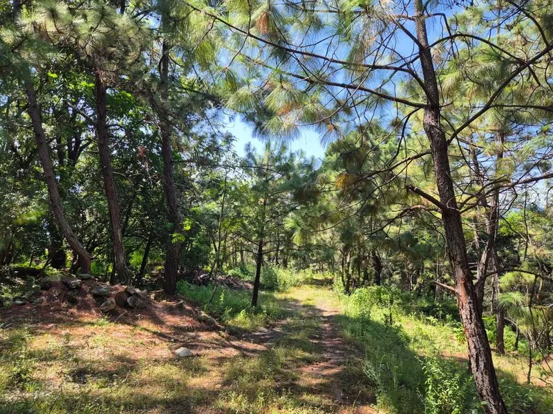 Lote en venta · Monte Alto, Valle de Bravo, Estado de México