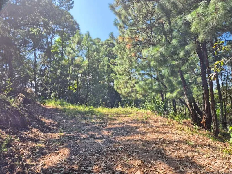 Lote en venta · Monte Alto, Valle de Bravo, Estado de México