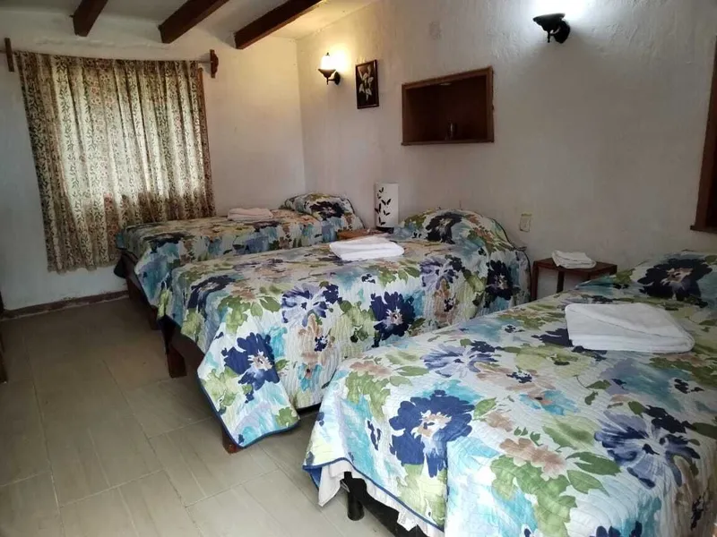 Foto 12