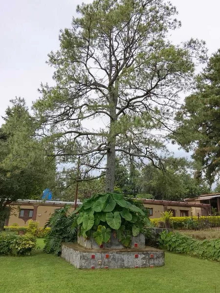 Foto 7