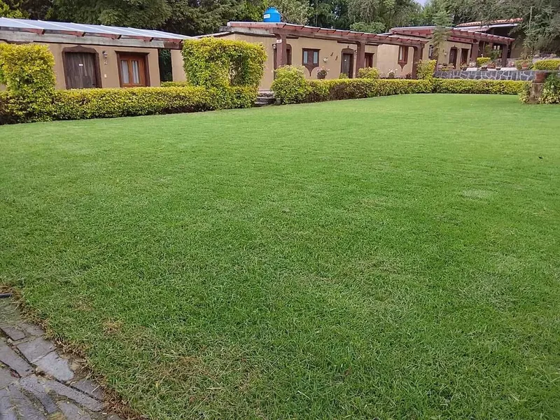 Foto 10