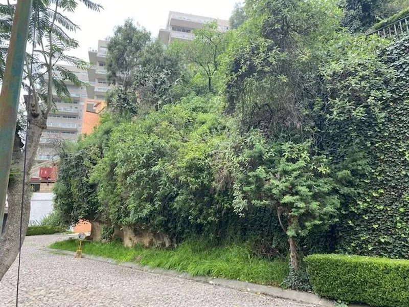 Foto 3
