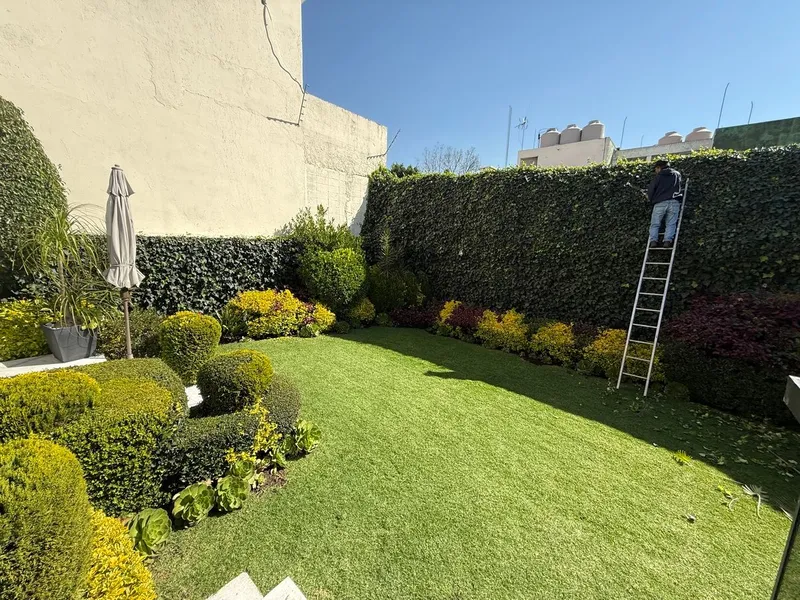 Foto 7