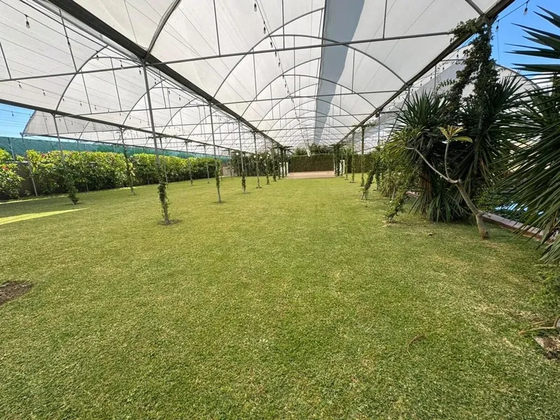 Foto 37