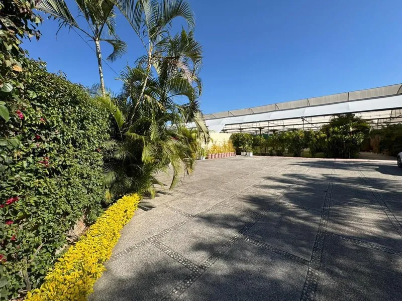 Foto 17