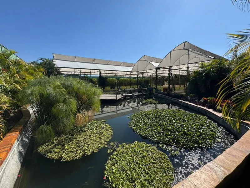 Foto 18