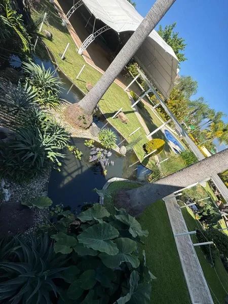 Foto 13