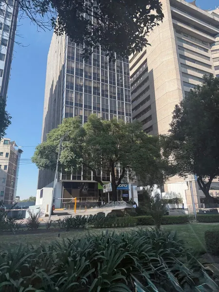 Foto 19