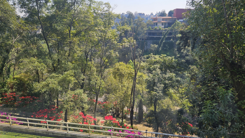 Foto 12
